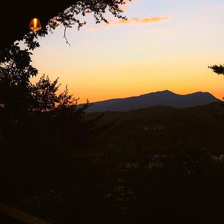 Bluff Mountain View Villa Pigeon Forge Eksteriør bilde